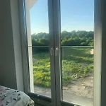 Mirror Reflection *