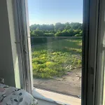 Mirror Reflection