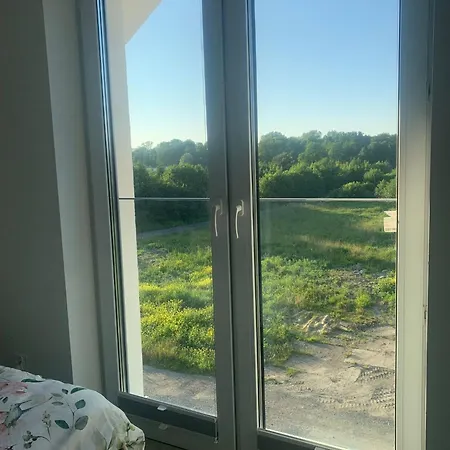 Mirror Reflection *