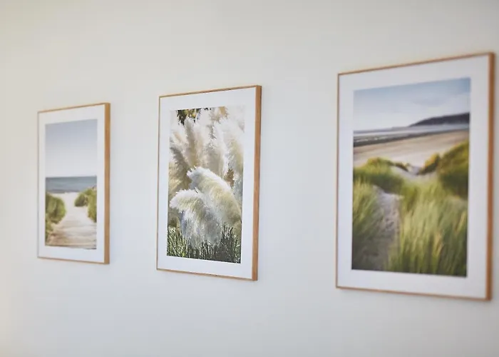 Mirror Reflection Sarbinowo